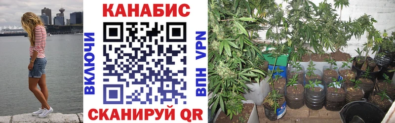 Наркошоп Новая Ляля ГАШИШ  Конопля  АМФ  Мефедрон  COCAIN  APVP 
