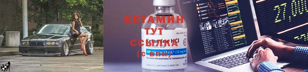 прущие грибы Армянск