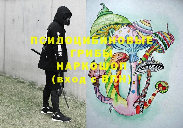 прущие грибы Армянск