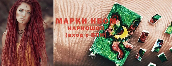 прущие грибы Армянск