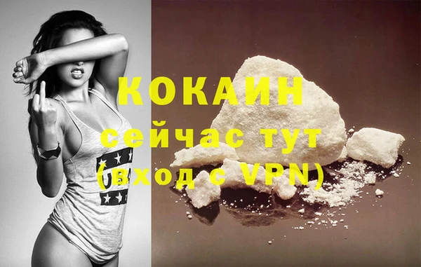 прущие грибы Армянск